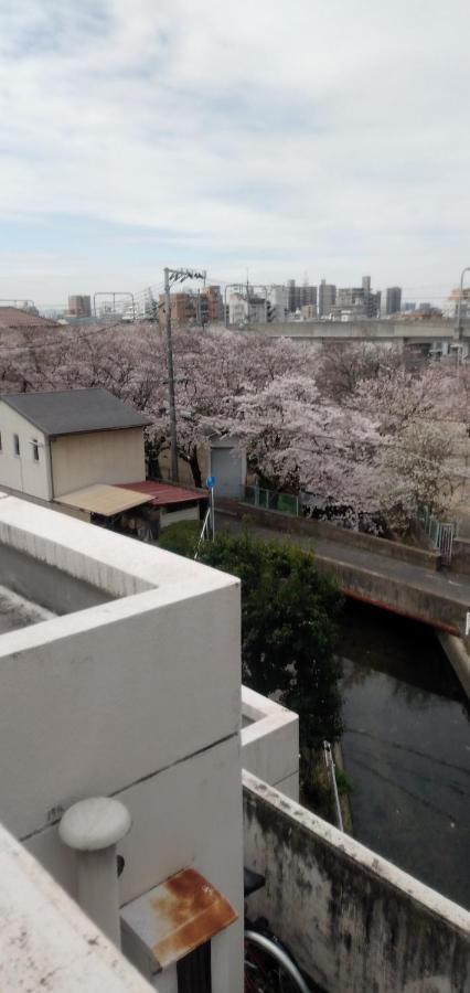 Cherry Blossom Koseicho 冈山 外观 照片